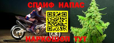 спайс Дубна