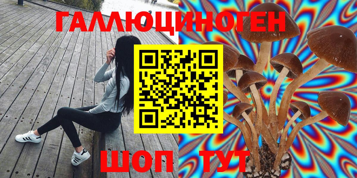 Псилоцибиновые грибы ЛСД  Вход с VPN  Михайловск 