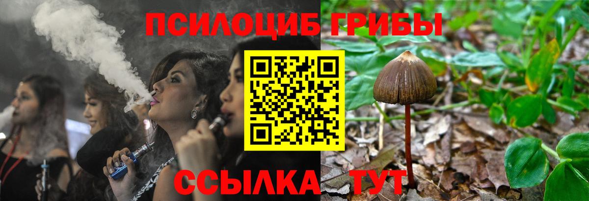 Псилоцибиновые грибы мухоморы Михайловск